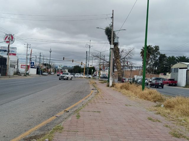 place photo 7