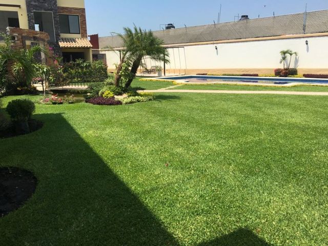 place photo 36