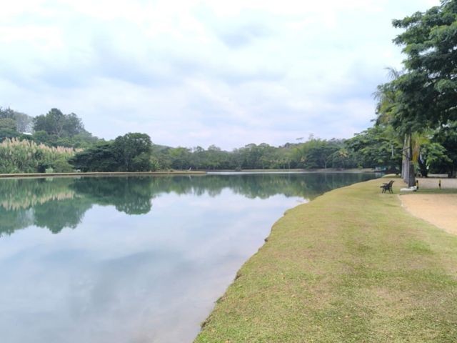 place photo 26