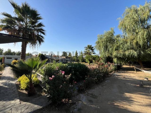 place photo 43