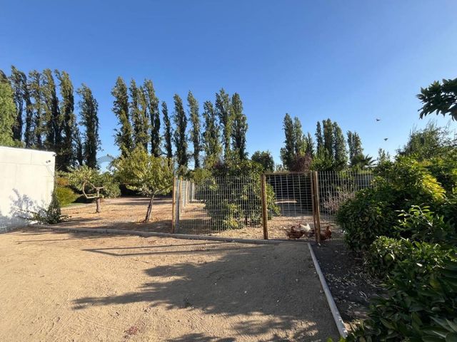 place photo 64