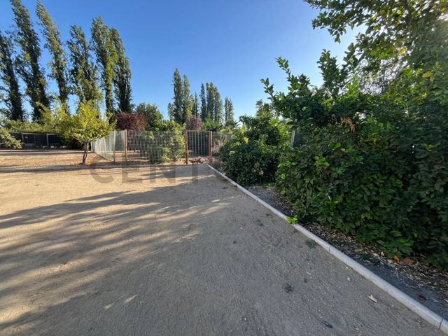 place photo 60