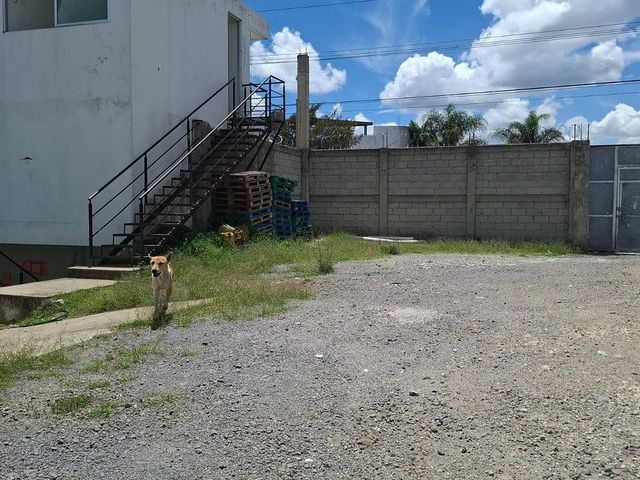 place photo 19