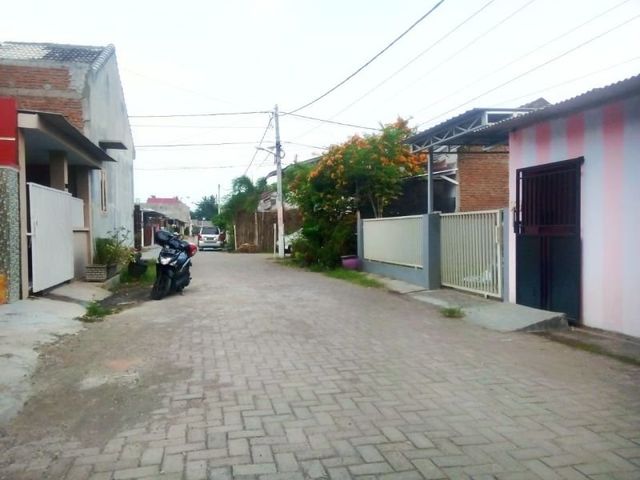 place photo 1