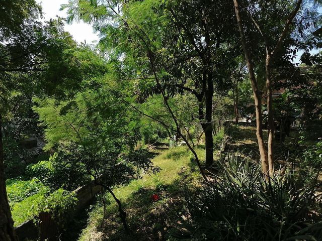 place photo 12