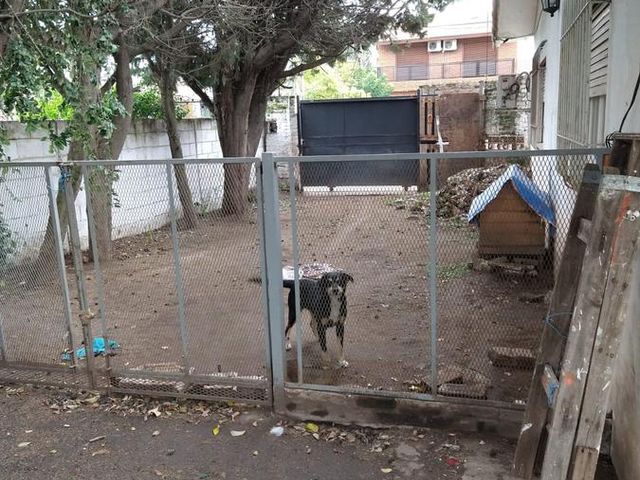 place photo 5