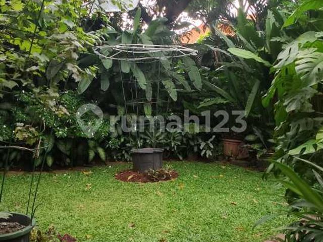 place photo 28