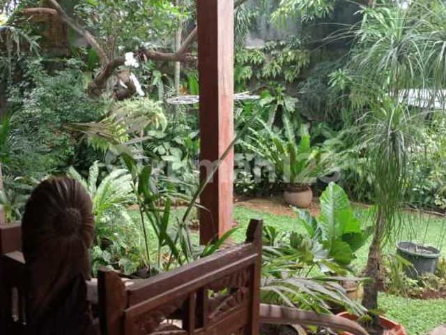 place photo 27