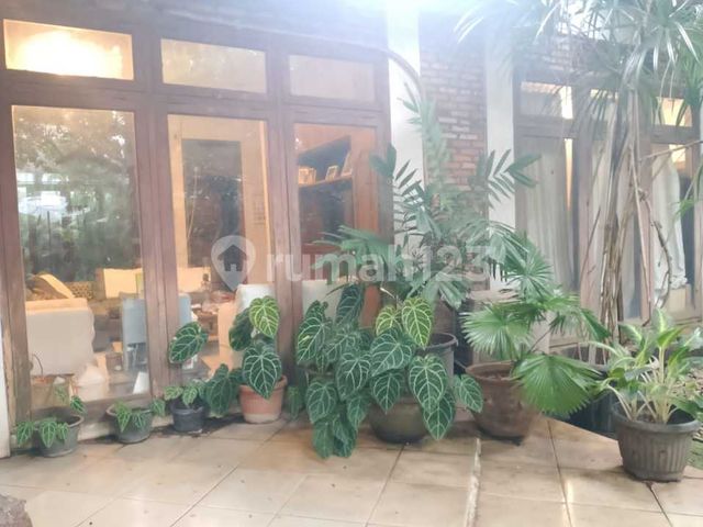 place photo 23