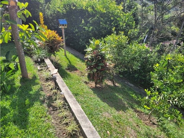 place photo 70
