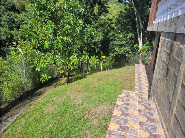 place photo 71