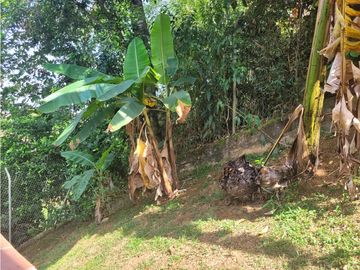 place photo 72