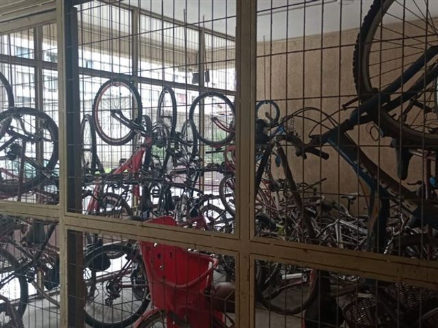 place photo 21
