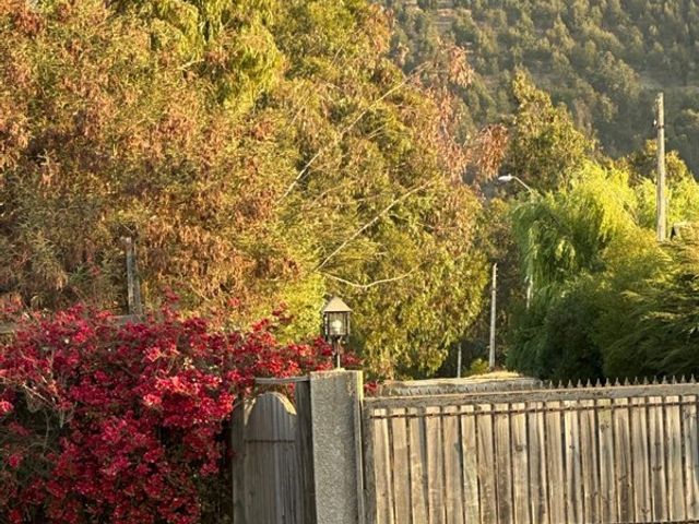 place photo 46