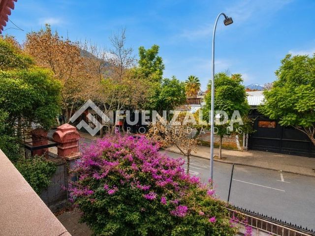 place photo 26