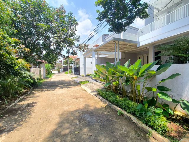 place photo 62