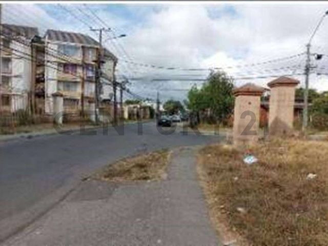 place photo 12