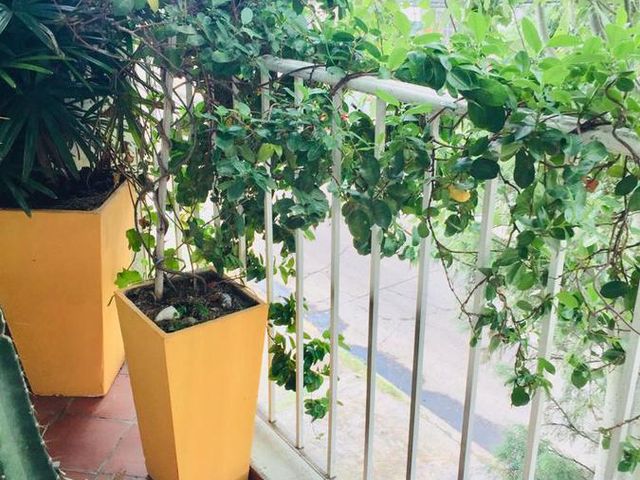 place photo 15