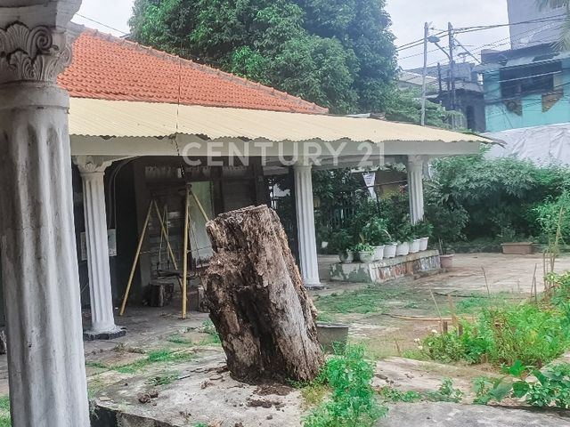 place photo 4