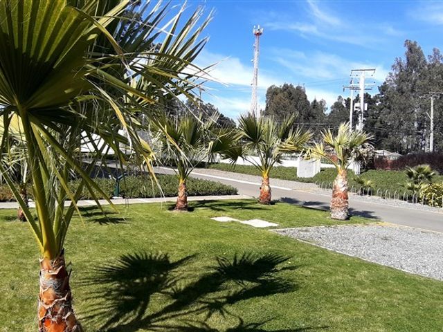 place photo 28