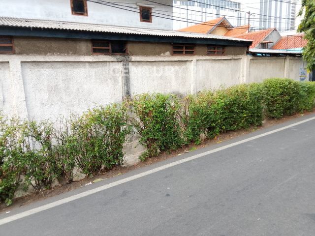 place photo 3