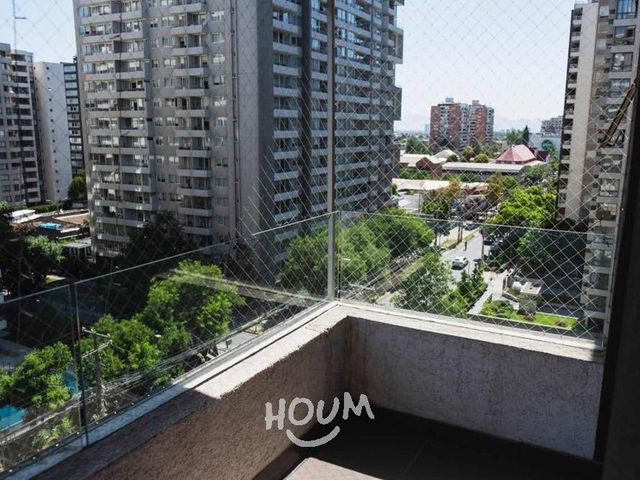 place photo 38