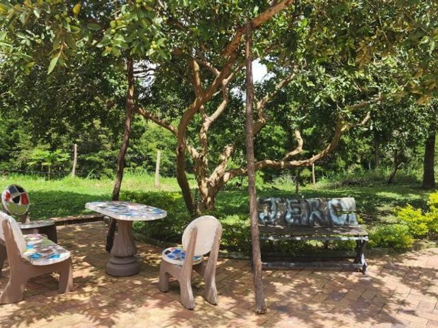 place photo 17