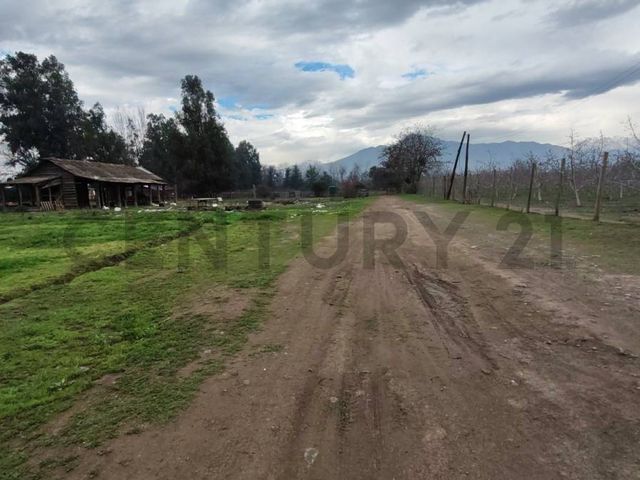 place photo 16