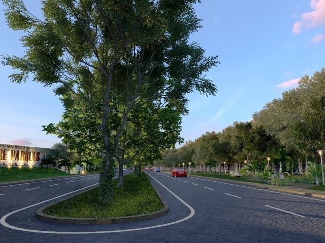 place photo 10