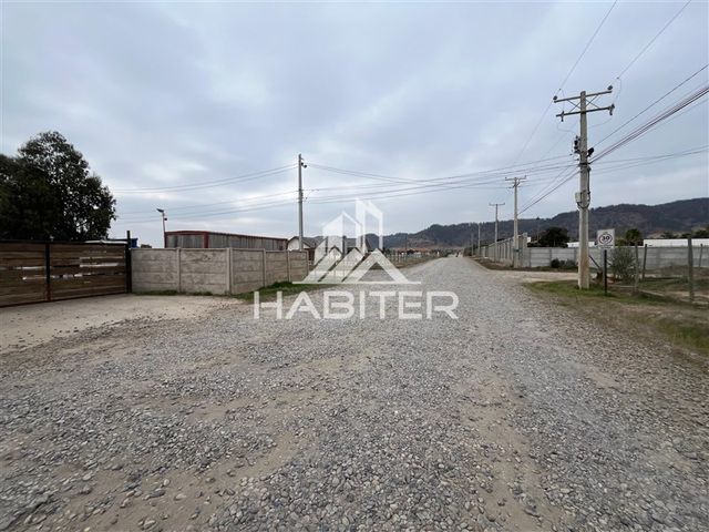 place photo 67