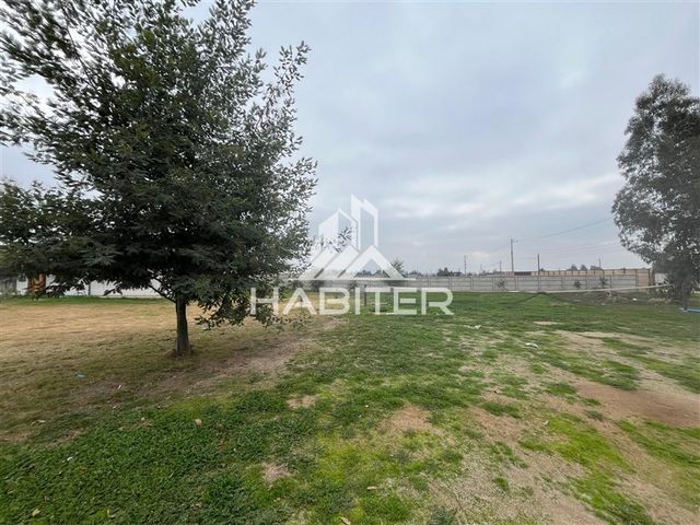 place photo 43