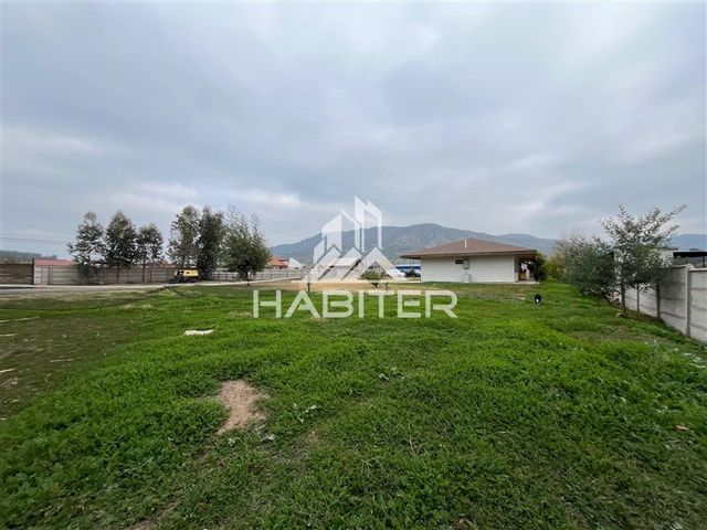 place photo 44