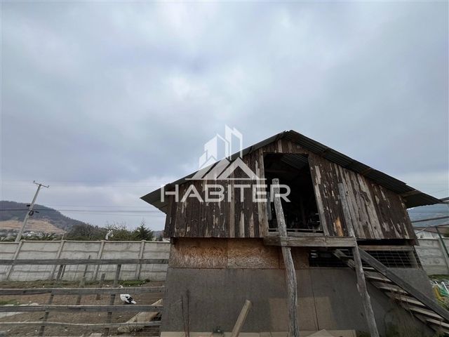 place photo 47
