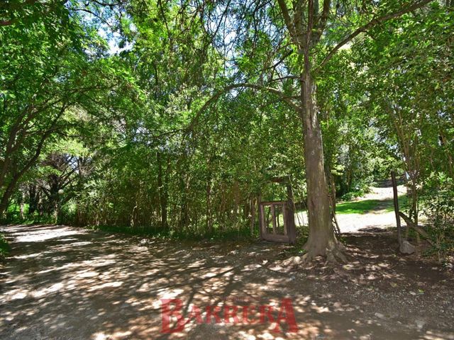 place photo 40