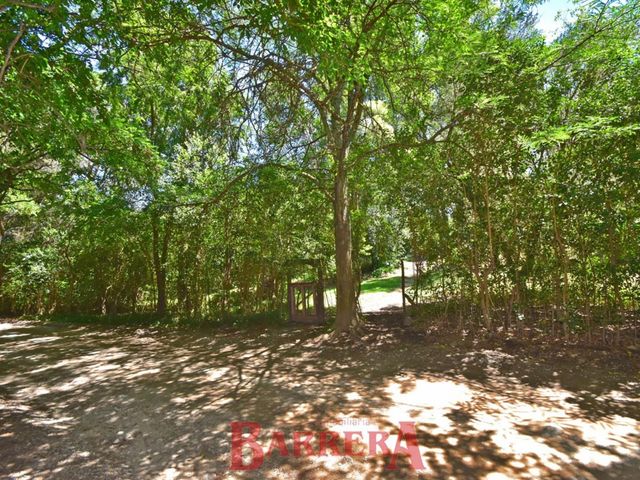 place photo 41