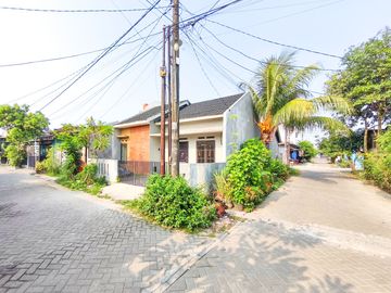 place photo 22