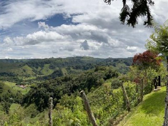 Venta Finca 6 Hab. Salento