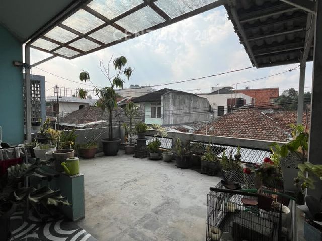 place photo 14