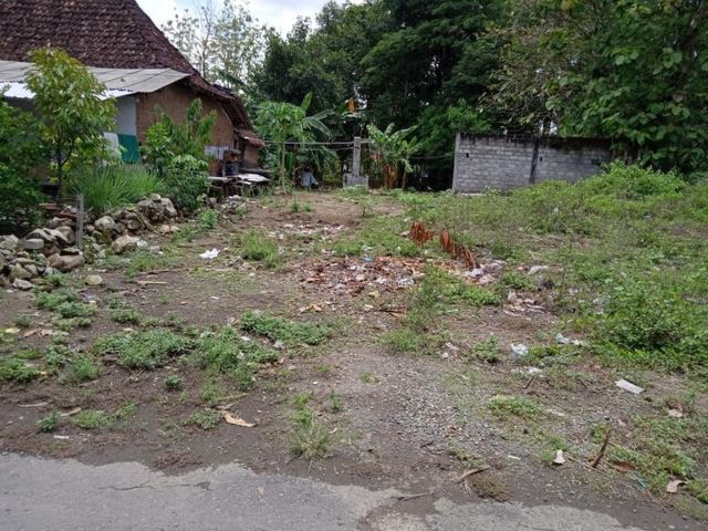 place photo 4