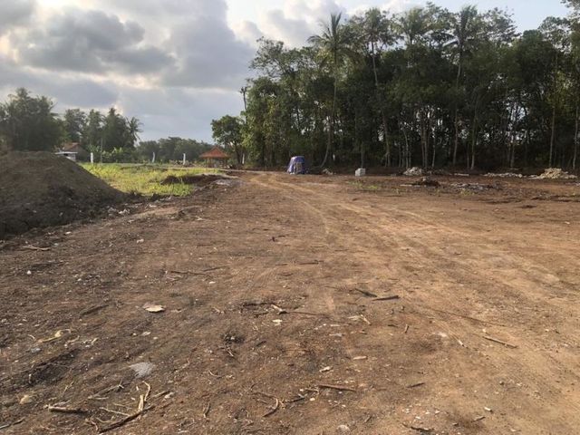 place photo 10