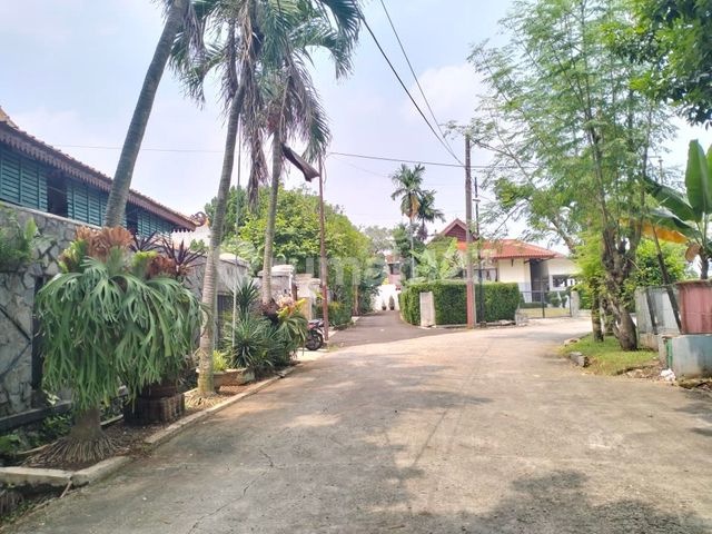 place photo 15