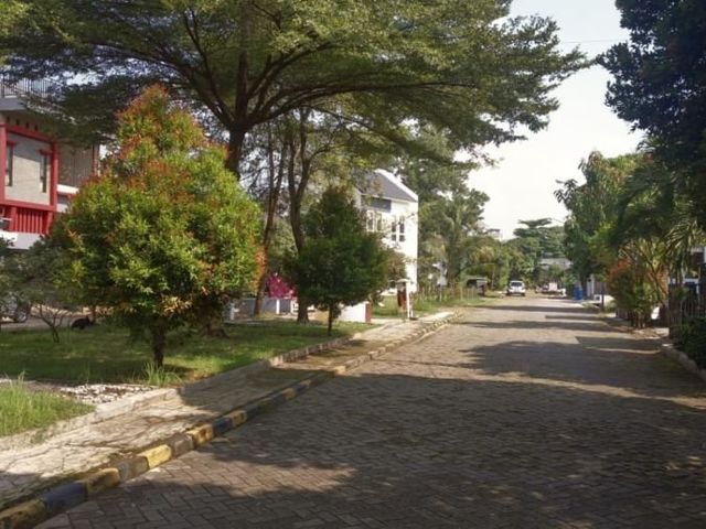 place photo 9