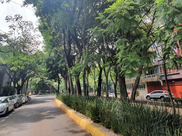 place photo 29