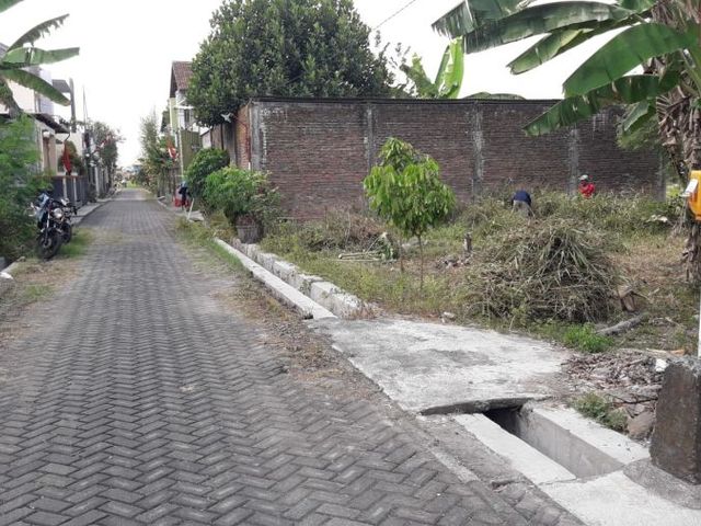 place photo 4