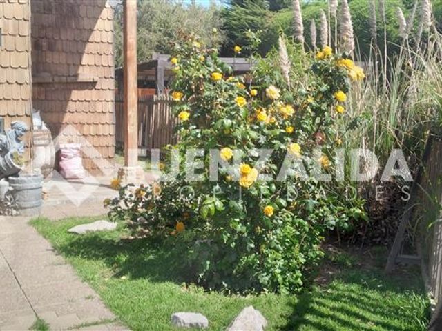 place photo 44