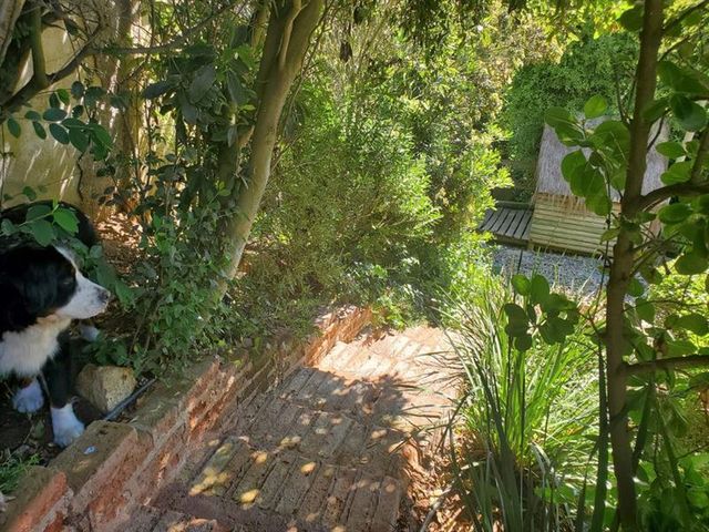 place photo 29