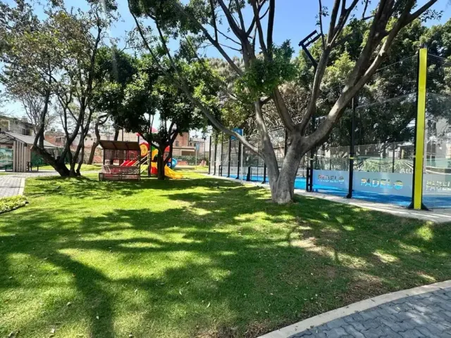 place photo 17