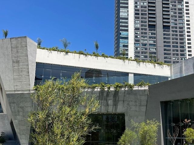 place photo 25