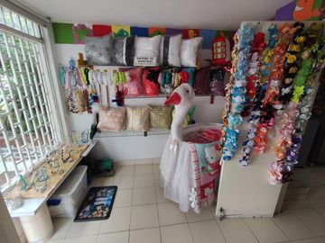 place photo 15