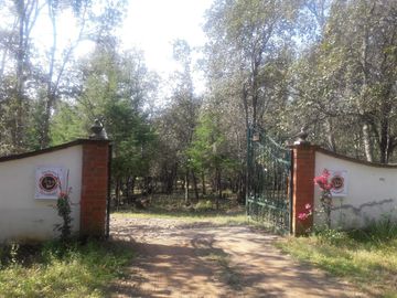 place photo 30